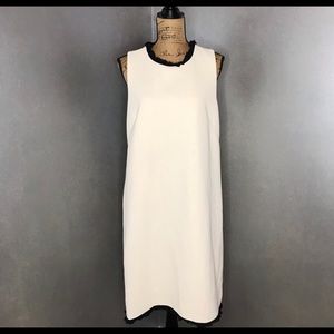 J.Crew Dress